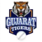 Gujarat Tigers