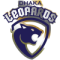 Dhaka Leopards
