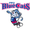 Blue Cats (F)