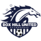 Box Hill United (F)