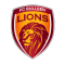 Bulleen Lions