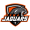 Rewa Jaguars