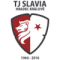 Hradec Kralove B