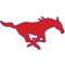 Southern Mustangs