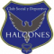 Csyd LOS Halcones