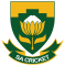 South Africa Emerging