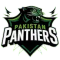 Pakistan Panthers