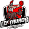 Centauros de Portuguesa