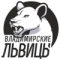 VLSU Vladimir University Women