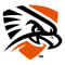 Texas-Permian Basin Falcons