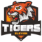 Tigers XI