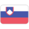 Slovenia 17 (F)