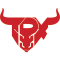 Team Paradox