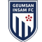 Geumsan Insam