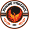 Rising Phoenix