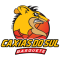 CAXIAS DO SUL