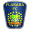 Flacara Falesti