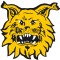 Ilves Tampere