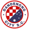 Dandenong City 20