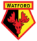 Watford FC SRL