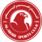 AL Arabi U20