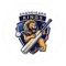 Chandigarh Kings