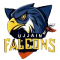 Royal Nimar Eagles