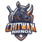 Chitwan Rhinos