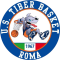 TIBER BASKET