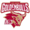 Zhejiang Bulls