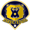 Sheffield Bruins