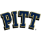 Pittsburgh Panthers