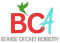 Borade Cricket Academy