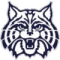 Wilmington Wildcats (W)