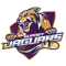 Surrey Jaguars
