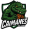 Caimanes del Llano