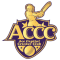 Ace Capital CC