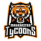 Maharastra Tycoons