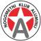 Aluminij