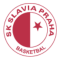 SK Slavia Prague