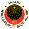 Genclerbirligi Ankara 19
