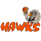 Bay Hawks