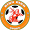 Биньдинь