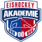 Eishockey Akademie Steiermark
