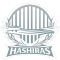 Hashiras