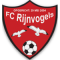 Rijnvogels