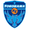Nippatsu Yokohama Seagulls (F)