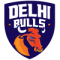 Delhi Bulls