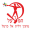 Hapoel Bney Arara