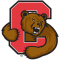 Brown Bears (W)